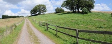 Beautiful country lane on a sunny day surrounded by trees and blue sky